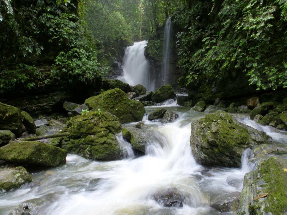 Andes y Amazonia