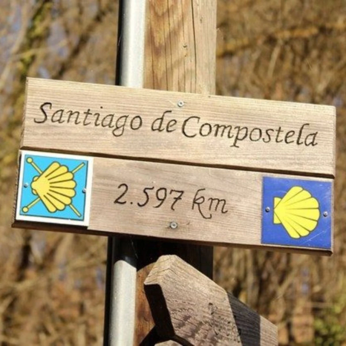 Camino Portugués