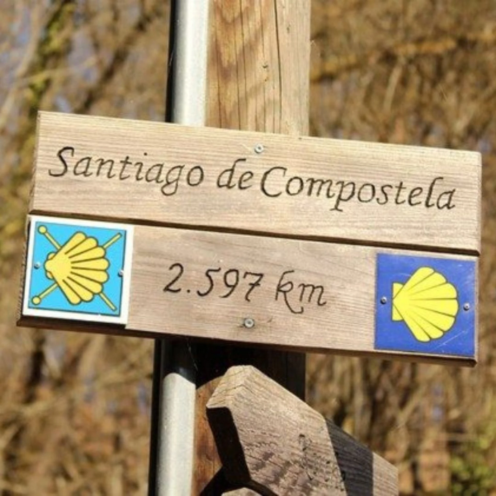 Camino Portugués