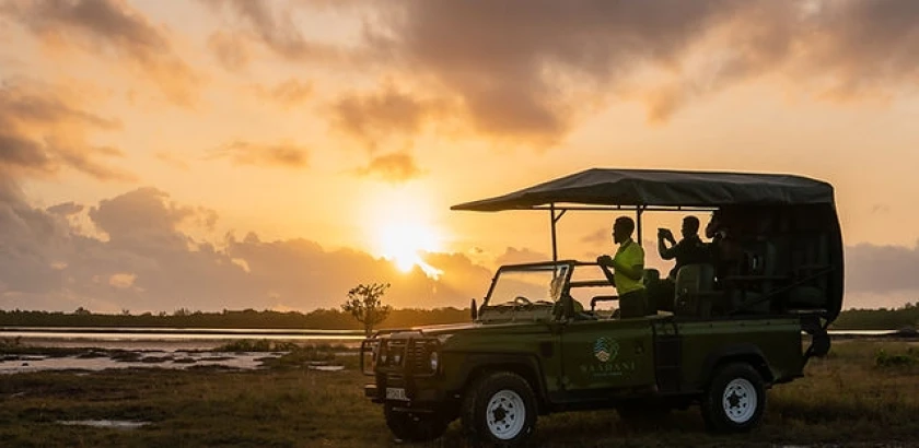Safari en Saadani y estancia en Zanzíbar