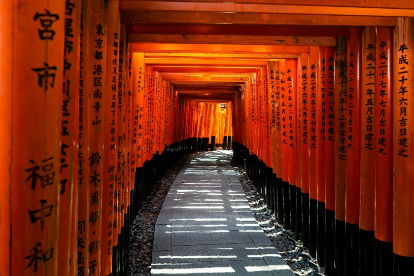 Japón esencial
