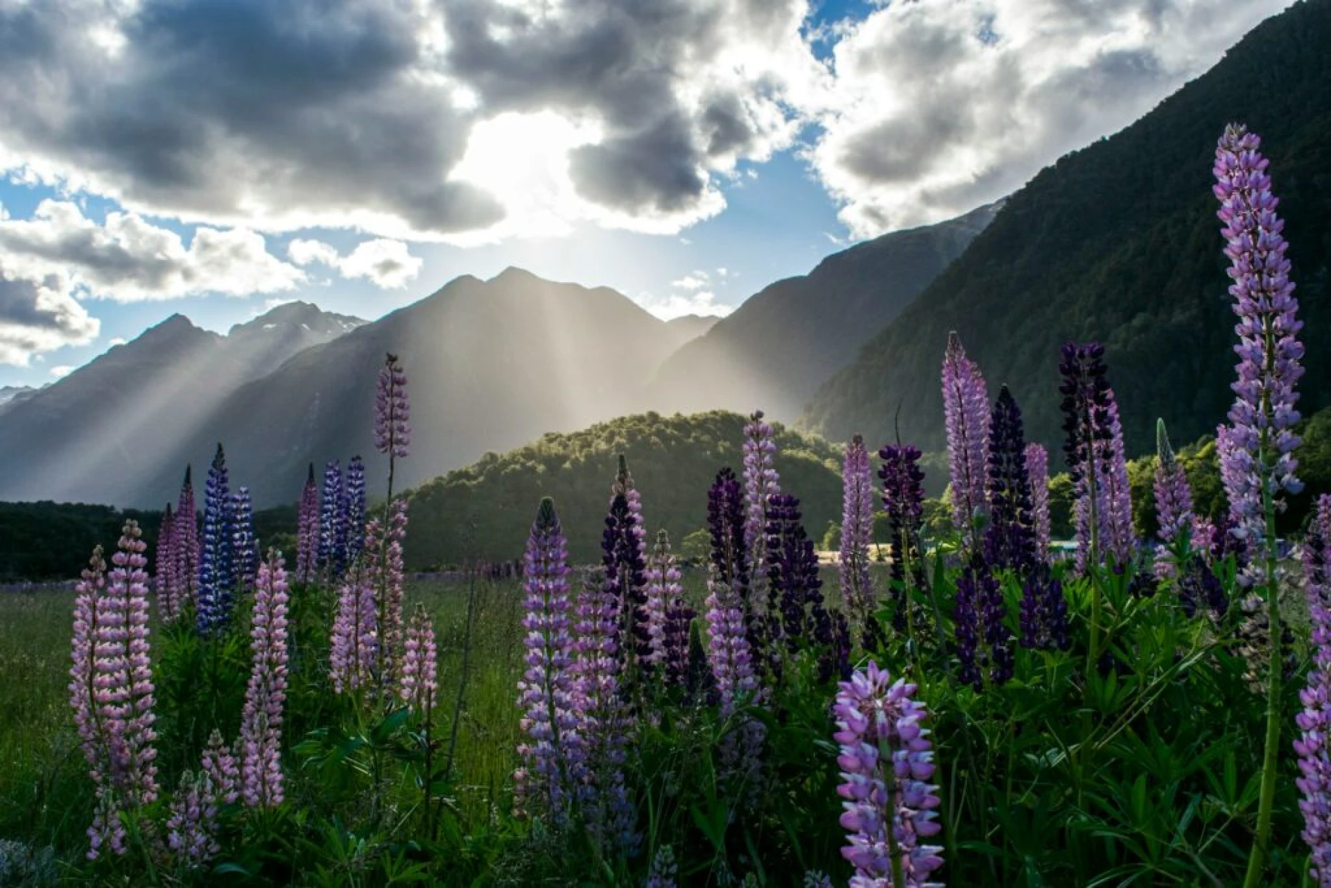 Explorando New Zealand, Fly & Drive