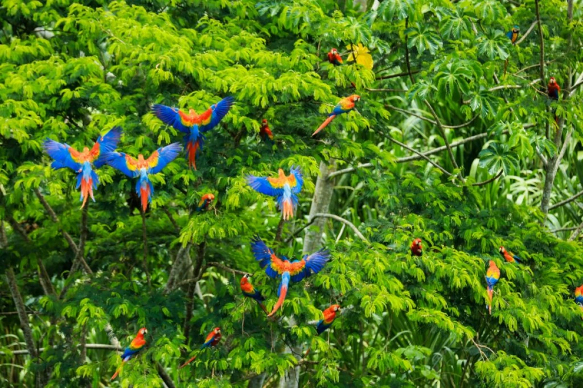 Andes y Amazonia 2026