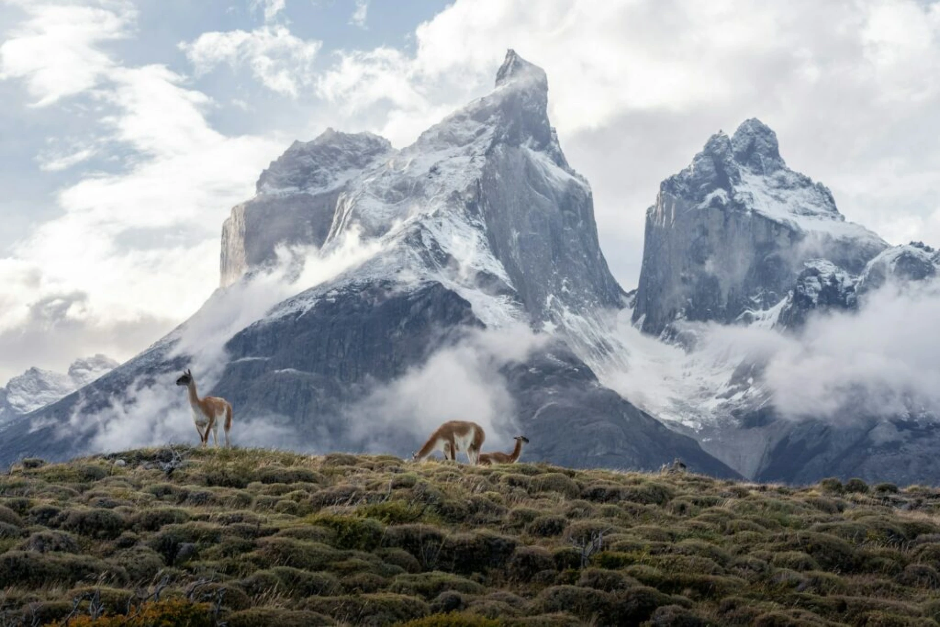 Andes Ecuatoriales 2026