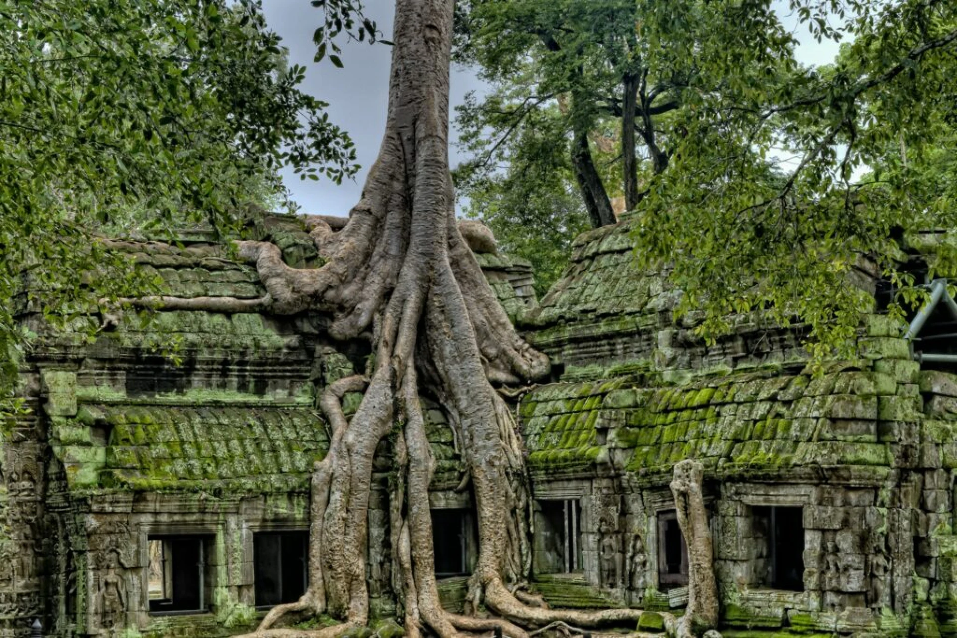 Colores de Camboya