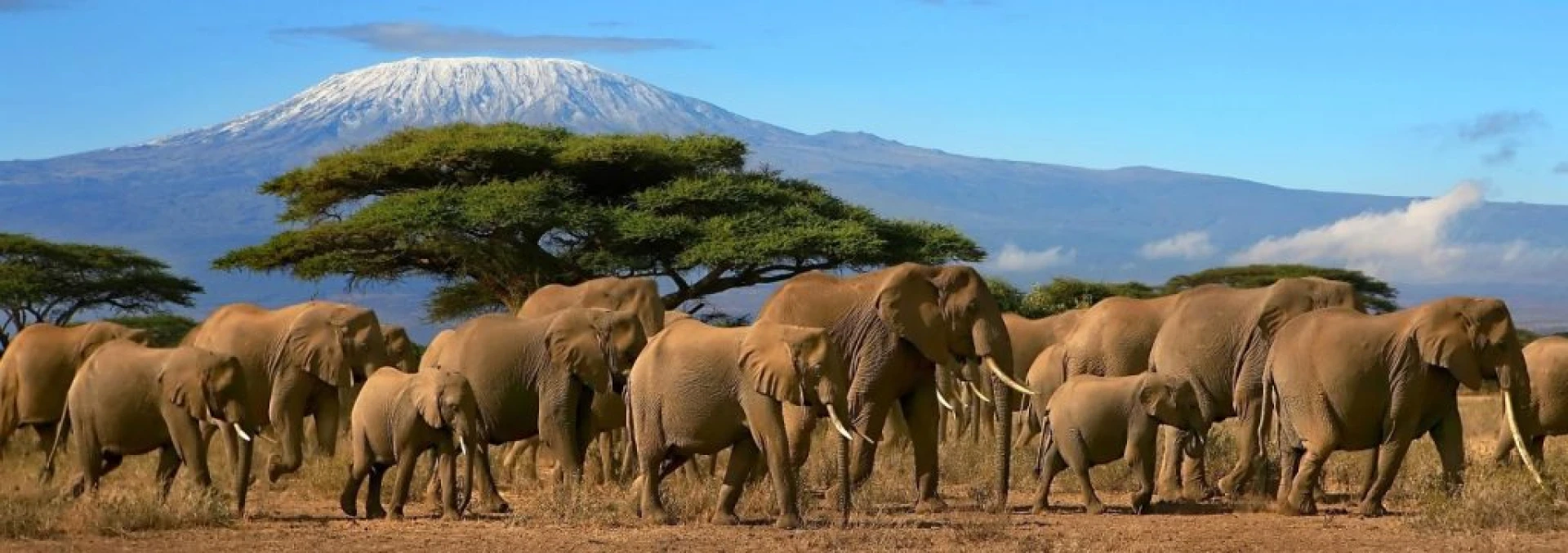 Tanzania