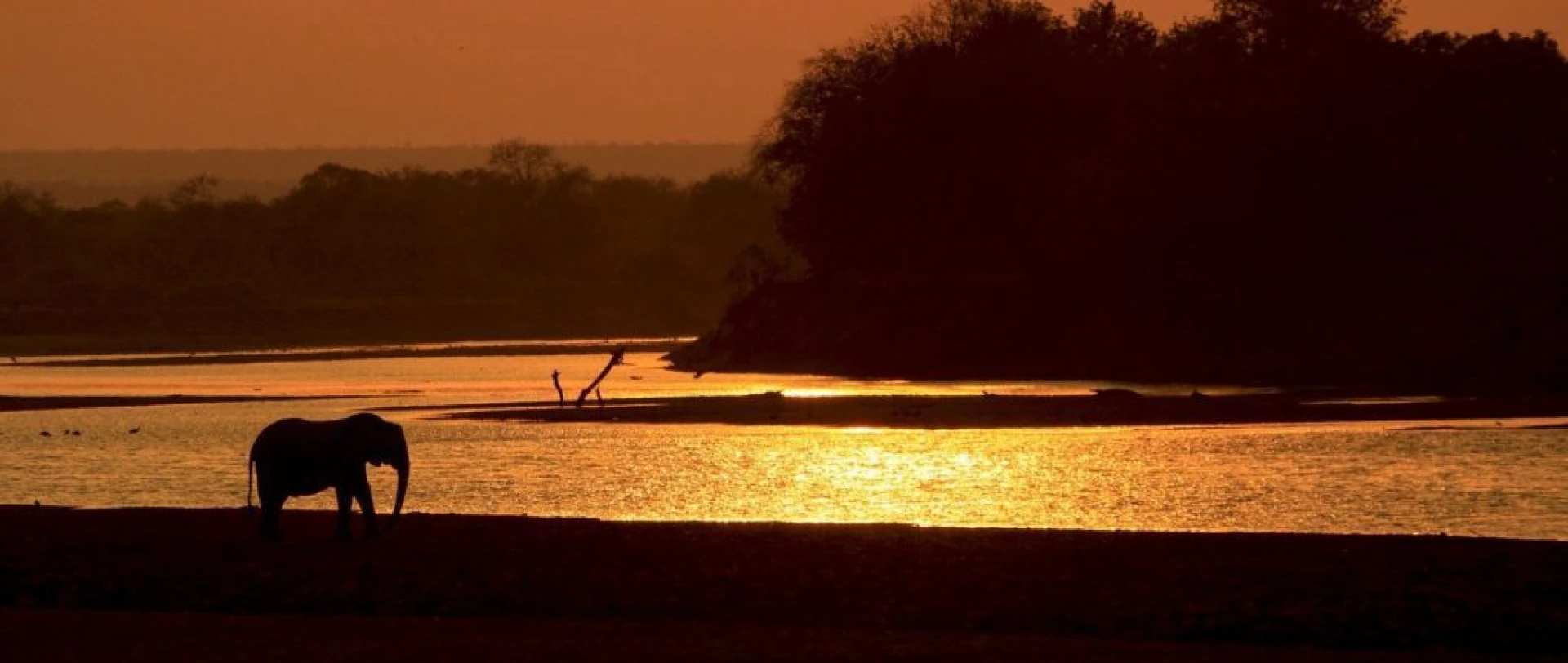 Zambia