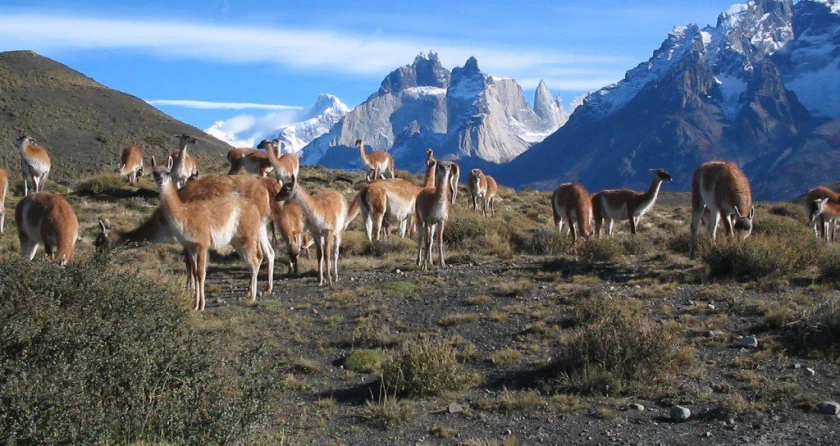 Viajes de Chile