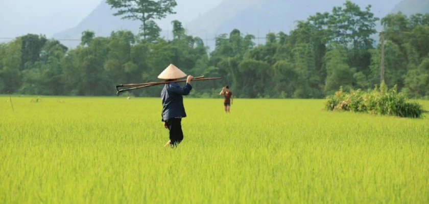 Viajes de Vietnam